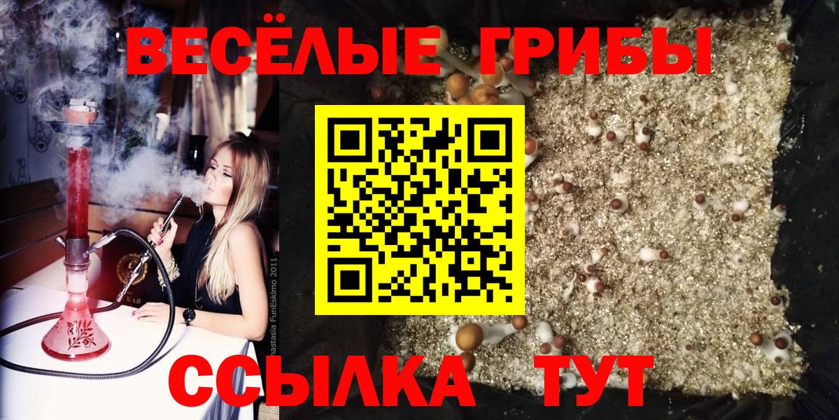 Алексеевка  Псилоцибиновые грибы GOLDEN TEACHER  Вход с VPN 