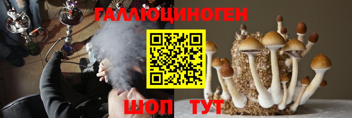 Псилоцибиновые грибы мухоморы Алексеевка